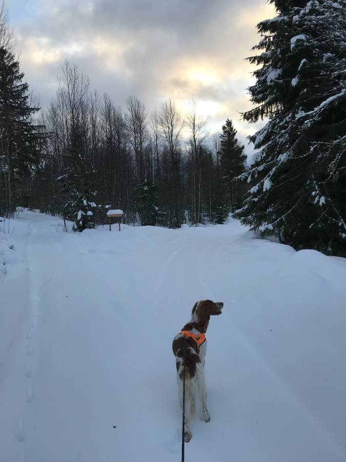 27AD44F1-836E-49CF-8D77-501E943D765D