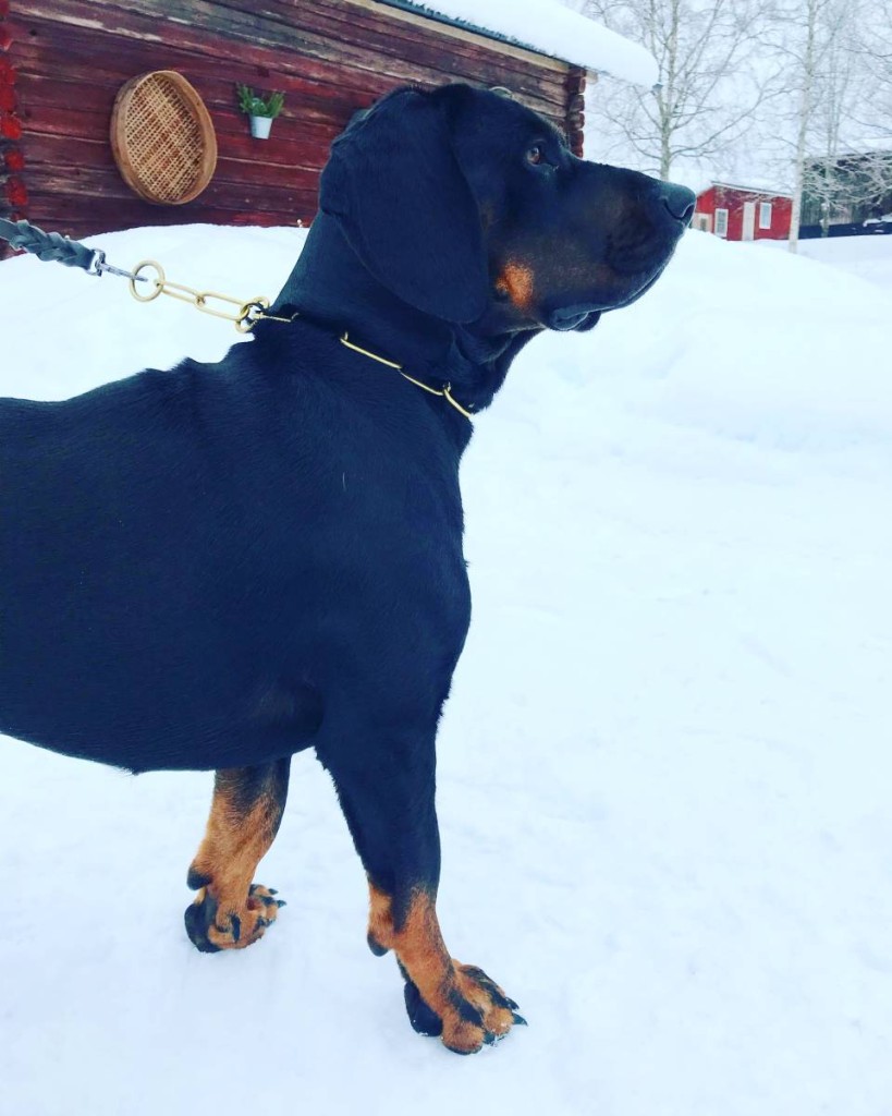 74B02A95-AF44-41DF-9F1F-A79FC5DE1BAB